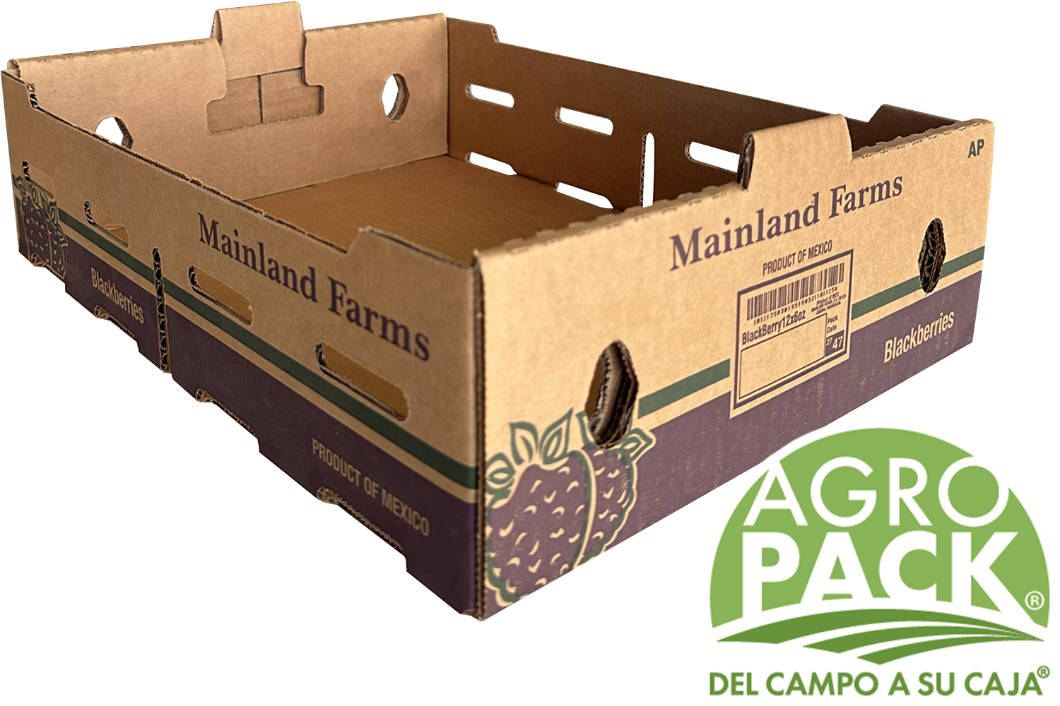 Caja de zarzamora