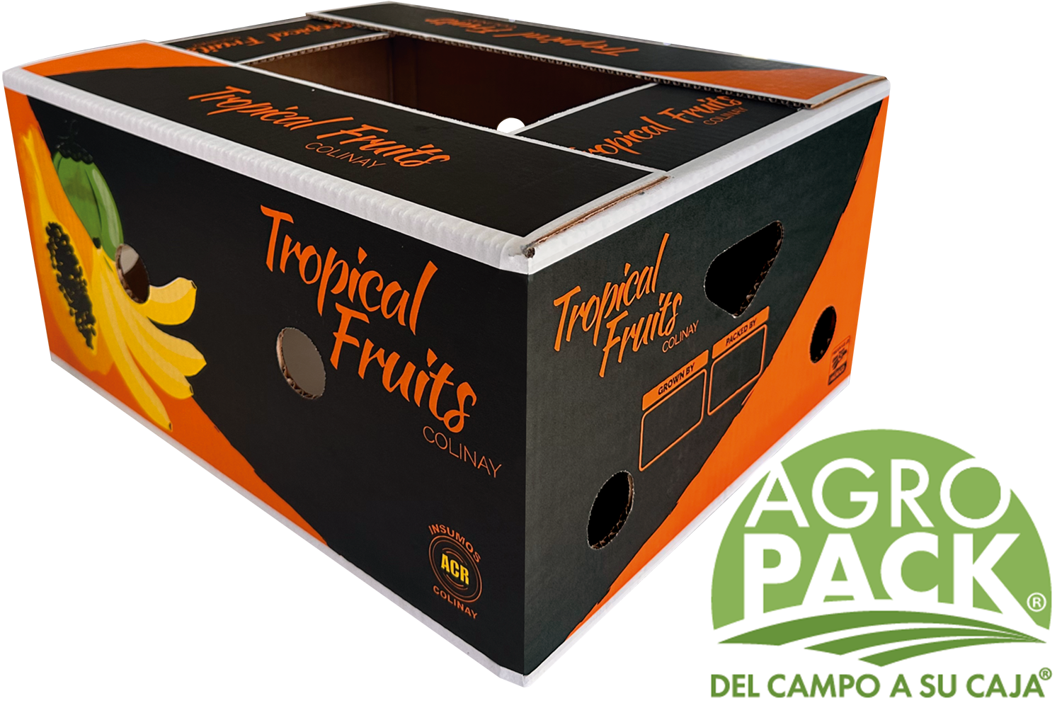 Caja de papaya