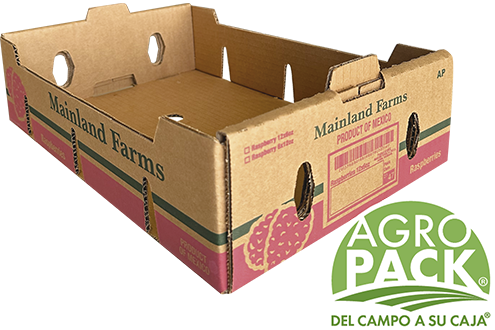 Caja de fresa